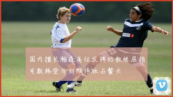 国内擅长瀚森高位发牌的教练屈指可数韩登与刘维伟独占鳌头