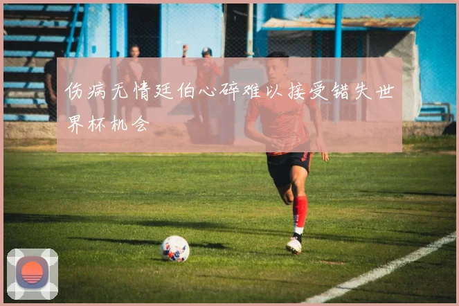 伤病无情廷伯心碎难以接受错失世界杯机会
