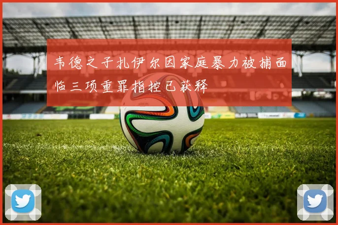 韦德之子扎伊尔因家庭暴力被捕面临三项重罪指控已获释