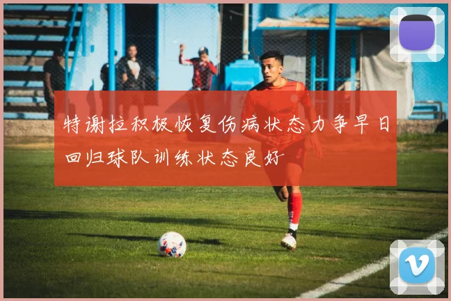 特谢拉积极恢复伤病状态力争早日回归球队训练状态良好