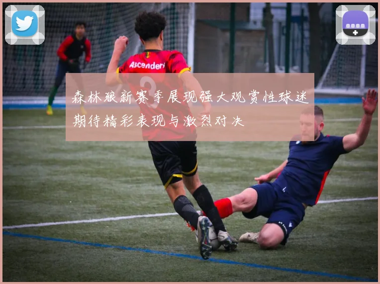 森林狼新赛季展现强大观赏性球迷期待精彩表现与激烈对决